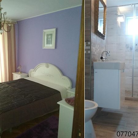 Pelican Proxy Apartment Oradea Buitenkant foto