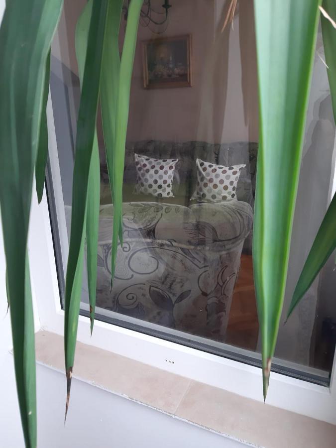 Pelican Proxy Apartment Oradea Buitenkant foto