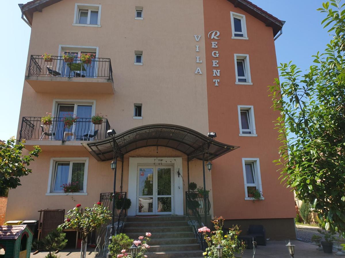 Pelican Proxy Apartment Oradea Buitenkant foto