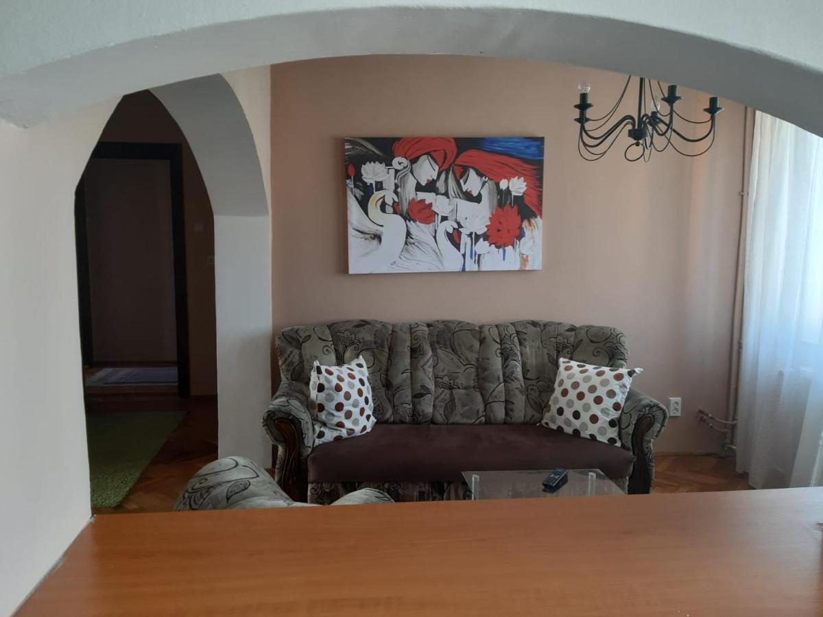 Pelican Proxy Apartment Oradea Buitenkant foto
