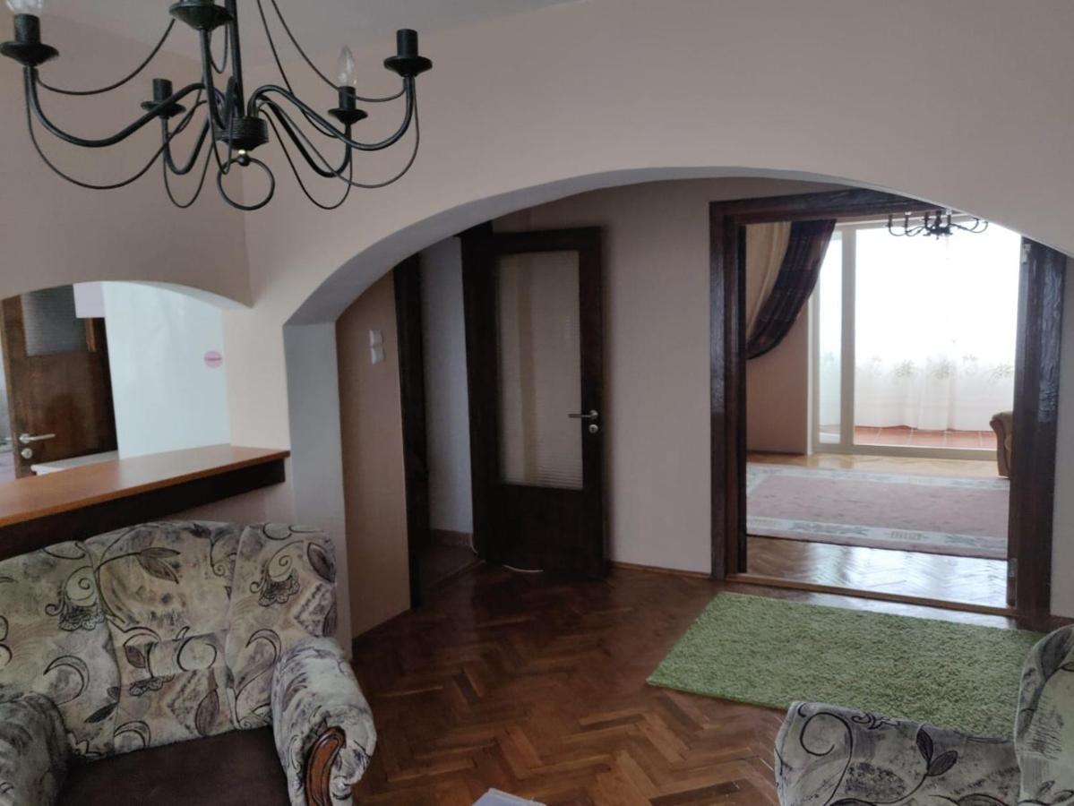 Pelican Proxy Apartment Oradea Buitenkant foto