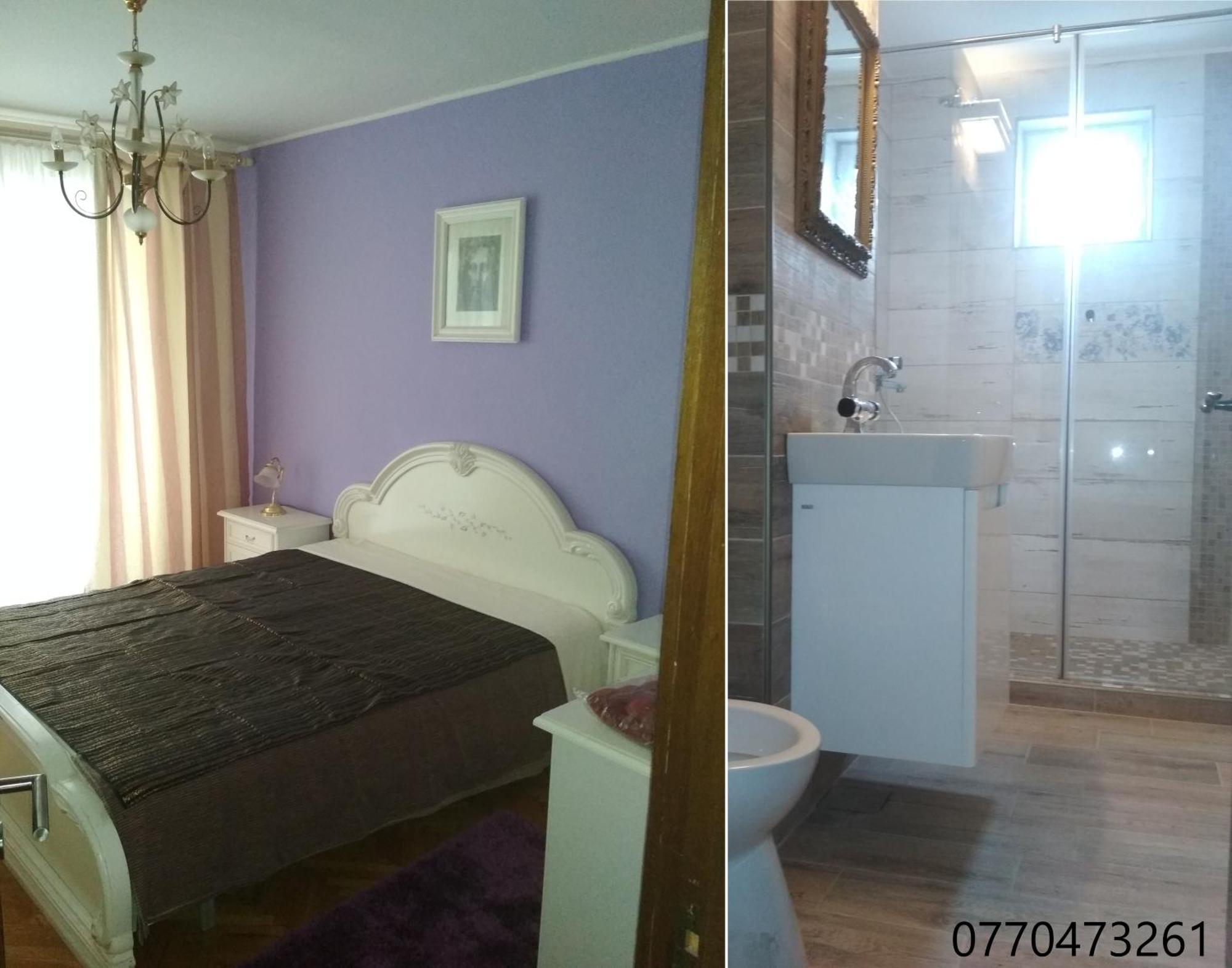 Pelican Proxy Apartment Oradea Buitenkant foto